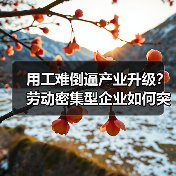 用工难倒逼产业升级？劳动密集型企业如何突围（图3）
