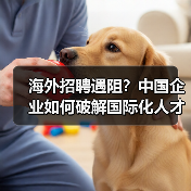 海外招聘遇阻？中国企业如何破解国际化人才难题（图2）