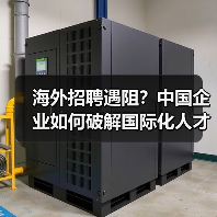海外招聘遇阻？中国企业如何破解国际化人才难题（图3）