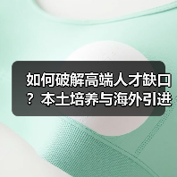 如何破解高端人才缺口?本土培养与海外引进的平衡之道(图3) 如何破解高端人才缺口?本土培养与海外引进的平衡之道(图3)