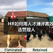 HR如何用人才测评高效选管理人（图4）