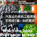 汽车动力系统工程师简历模板5篇：如何高效打造求职竞争力？（图3）