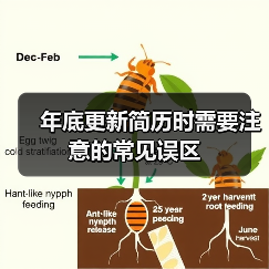 年底更新简历时需要注意的常见误区（图1）