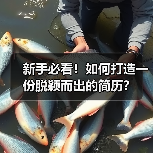 新手必看！如何打造一份脱颖而出的简历？（图3）