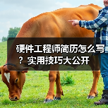 硬件工程师简历怎么写？实用技巧大公开（图1）