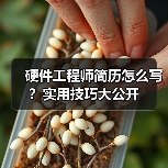 硬件工程师简历怎么写？实用技巧大公开（图3）