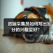 数据采集员如何写出加分的兴趣爱好？（图2）