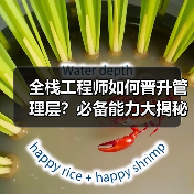 全栈工程师如何晋升管理层？必备能力大揭秘（图1）