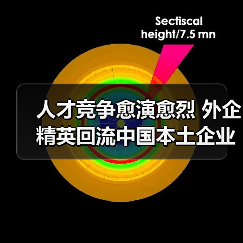 人才竞争愈演愈烈 外企精英回流中国本土企业(图4) 人才竞争愈演愈烈 外企精英回流中国本土企业(图4)