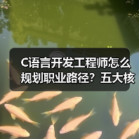 C语言开发工程师怎么规划职业路径？五大核心策略助你进阶（图1）