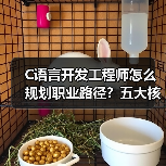 C语言开发工程师怎么规划职业路径？五大核心策略助你进阶（图3）