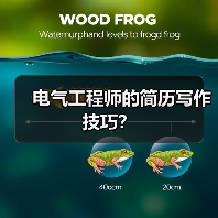 电气工程师的简历写作技巧?(图2) 电气工程师的简历写作技巧?(图2)