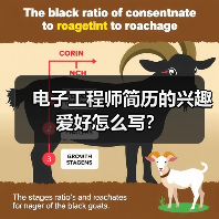 电子工程师简历的兴趣爱好怎么写?(图1) 电子工程师简历的兴趣爱好怎么写?(图1)
