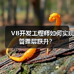 VB开发工程师如何实现管理层跃升？（图2）