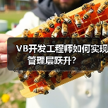 VB开发工程师如何实现管理层跃升？（图3）