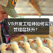 VB开发工程师如何实现管理层跃升？（图4）