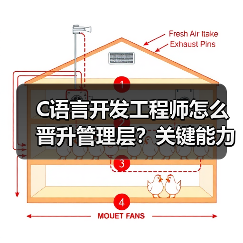 C语言开发工程师怎么晋升管理层？关键能力解析（图2）