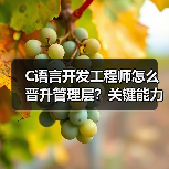 C语言开发工程师怎么晋升管理层？关键能力解析（图3）