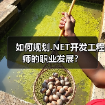 如何规划.NET开发工程师的职业发展？（图3）