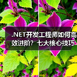 .NET开发工程师如何高效进阶？七大核心技巧揭秘（图1）