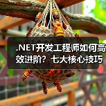 .NET开发工程师如何高效进阶？七大核心技巧揭秘（图3）