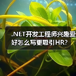 .NET开发工程师兴趣爱好怎么写更吸引HR？（图3）
