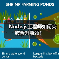 Node.js工程师如何突破晋升瓶颈？（图3）