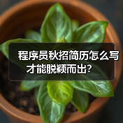 程序员秋招简历怎么写才能脱颖而出？（图4）