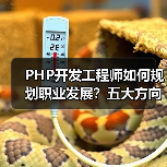 PHP开发工程师如何规划职业发展？五大方向助你进阶（图1）