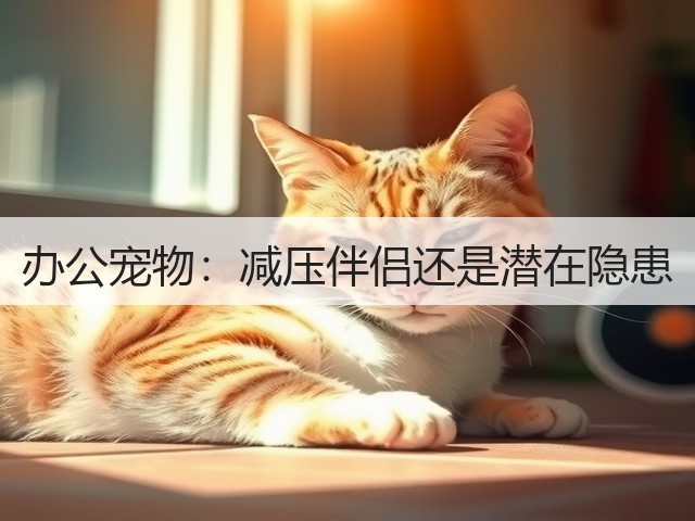 办公宠物:减压伴侣还是潜在隐患